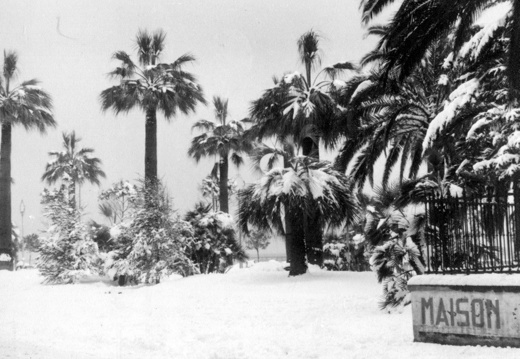 Nevicata del '56
