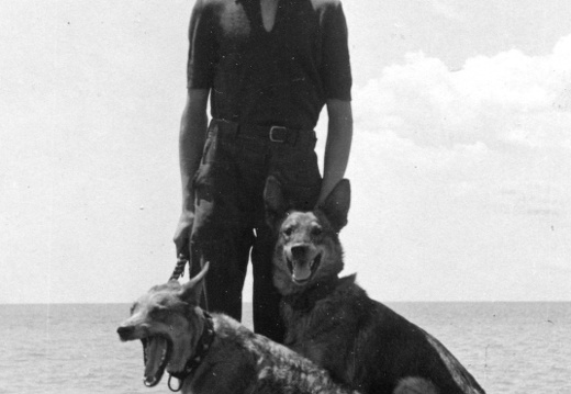 Livio Canale con i cani