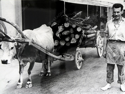 Carretto per il trasporto legna