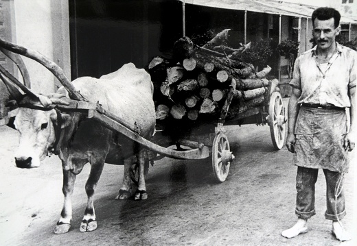 Carretto per il trasporto legna