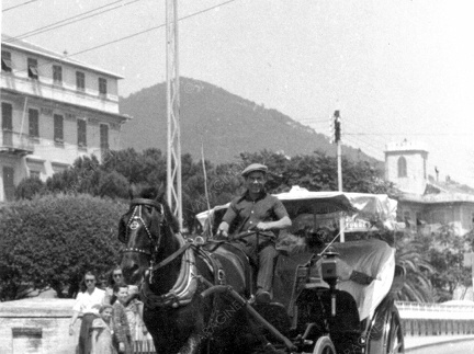Carrozza a cavallo in servizio di piazza