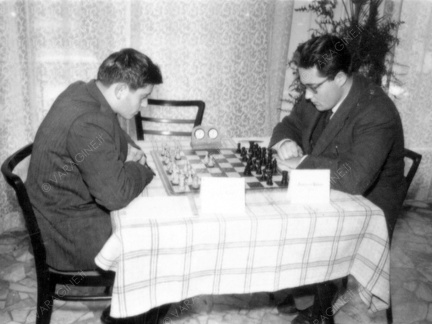 Torneo di scacchi 