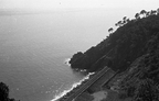 Ferrovia e Trasporti