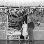 Festa dell'uva