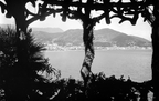 Panorami
